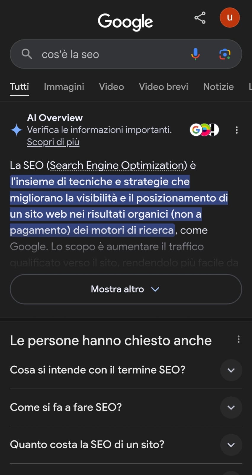 Schermata google con risposta di AI Overview